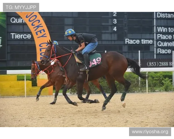 2020澳门赛马比赛时间表及赛事日程安排最新公告 2020澳门赛马比赛时间表及赛事日程安排最新公告