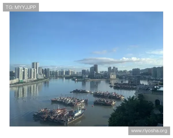 澳门十六浦索菲特酒店交通指南详解方便你轻松抵达各大旅游热点区域